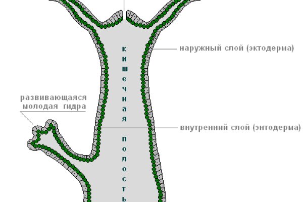 Кракен сайт зеркало рабочее на сегодня